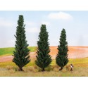 Snow fir trees. Snow fir trees.