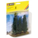 Snow fir trees. Snow fir trees.