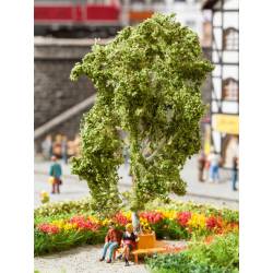 Arbre avec banc circulaire.