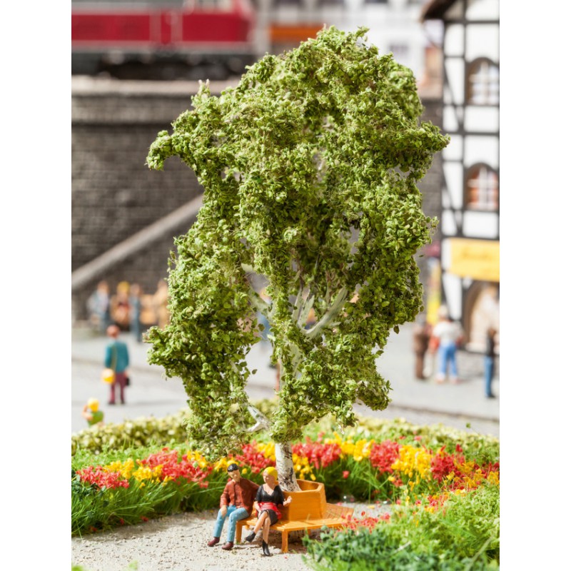 Lime Tree. Lime Tree.