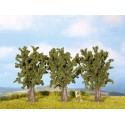 Poplars. Poplars.