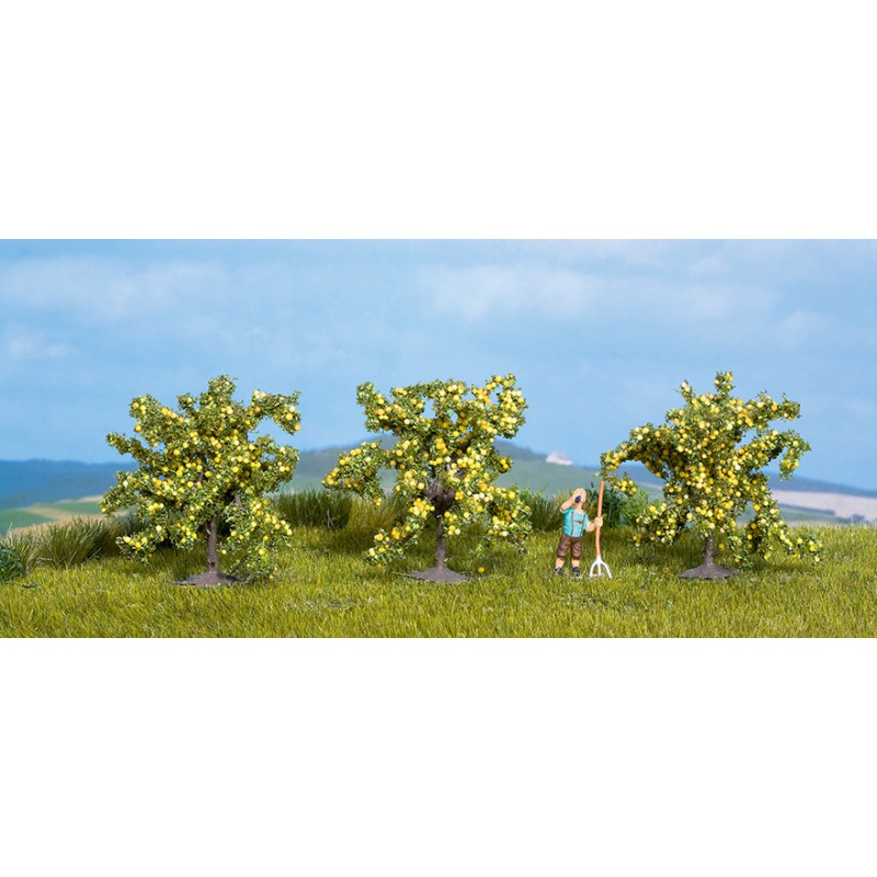Fruit trees. Fruit trees.