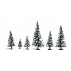 25 sapins enneigés.