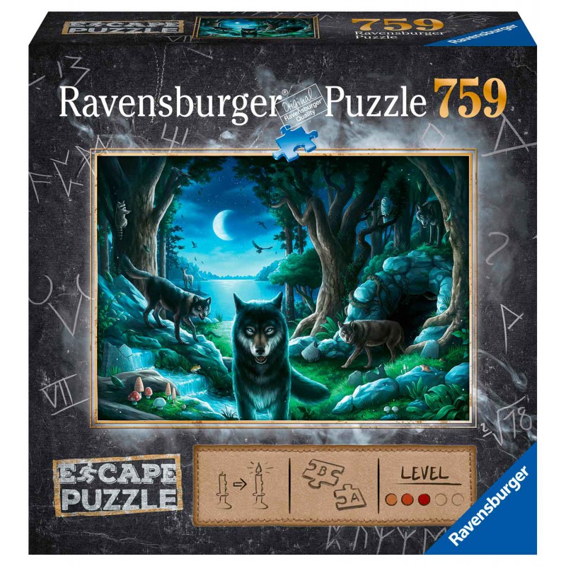 Escape puzzle: The Forbidden Basement. Escape puzzle: The Forbidden Basement.