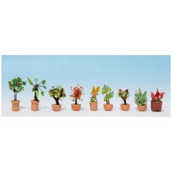 Fleurs en pots.