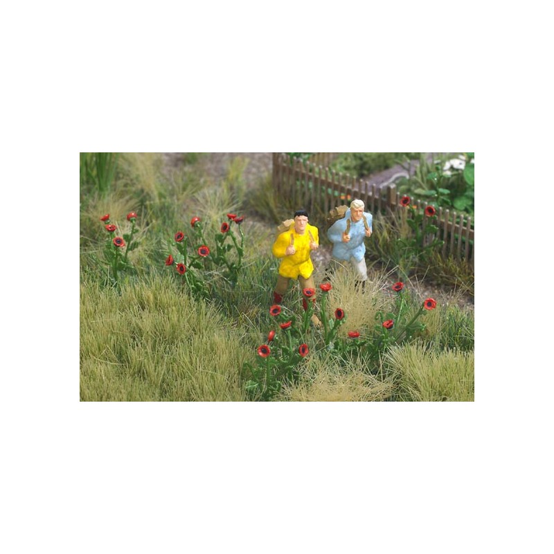80 poppy plants. BUSCH 1255