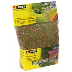 Master grass blend.