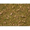 Master grass blend, summer meadow. Master grass blend, summer meadow.