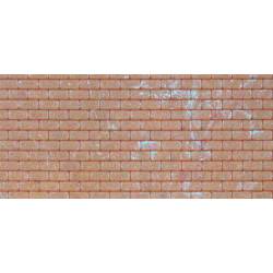 Wall plate brick.