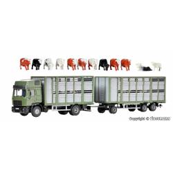 Cattle carrier with trailer and 12 cows.