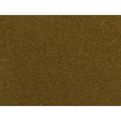 Field grass, brown.