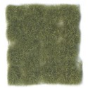 Matas silvestres, verde seco (12mm).