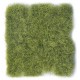 Wild tuft, jungle green (12mm).