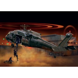 Elicottero UH60A Black Hawk.