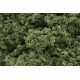 Foliage clusters light green. WOODLAND FC57