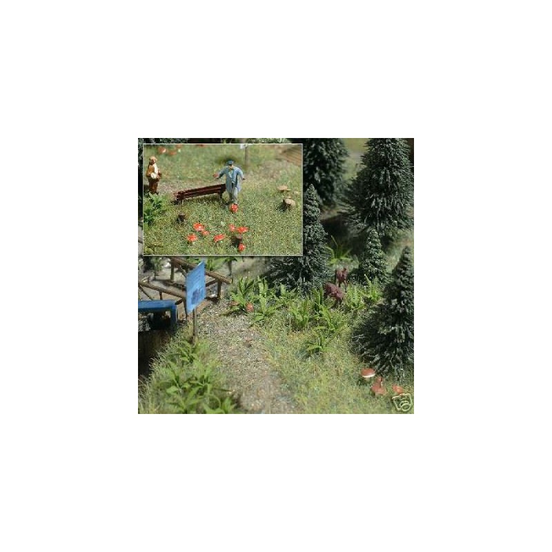 Helechos y setas. BUSCH 1203