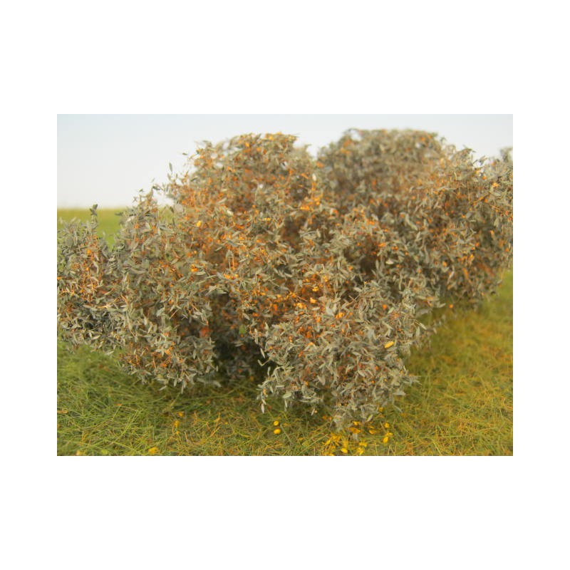 High shrubs.