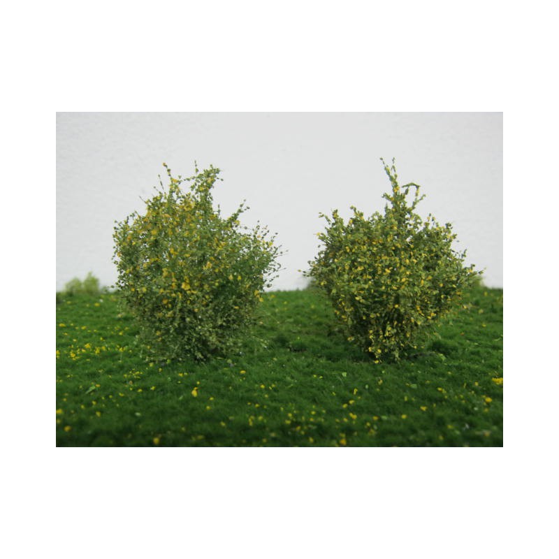 Arbustos, inicios del otoño.