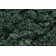 Foliage clusters dark green. WOODLAND FC59