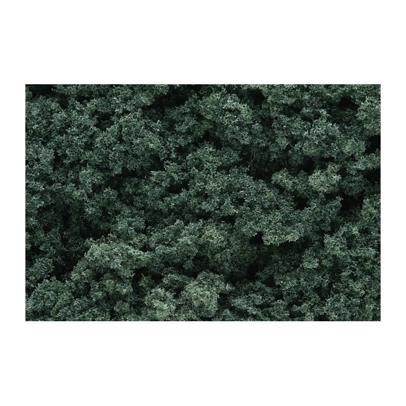 Foliage clusters dark green. WOODLAND FC59
