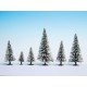 Snowy Fir Trees.