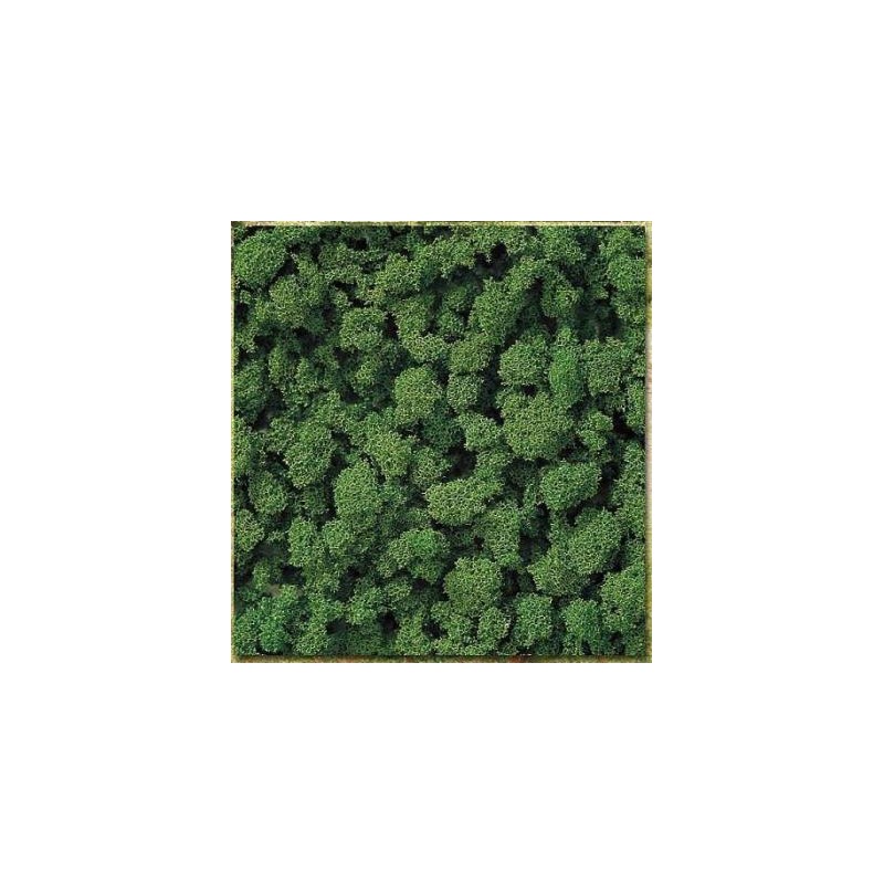 Flocado grueso verde oscuro. BUSCH 7362