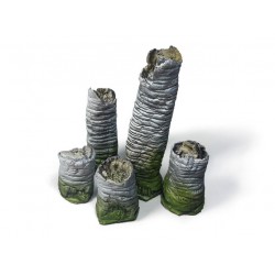 Troncs de palmiers cassés.