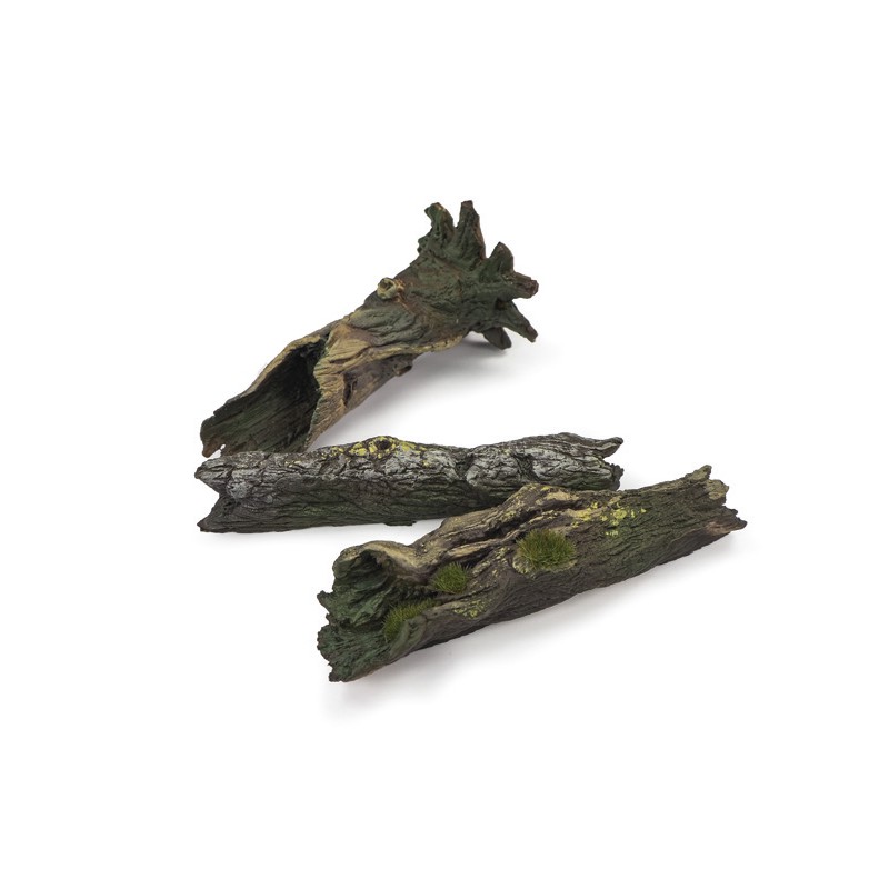 Tocones grandes de árbol.