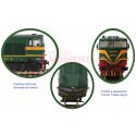 Locomotora diésel 319-095-6, RENFE.