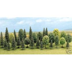 Mixed forest.