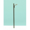 Wood light pole.