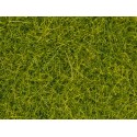 Césped electrostático "pradera". Césped electrostático "pradera".