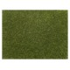 Scatter grass "light green".