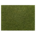 Scatter grass "light green".