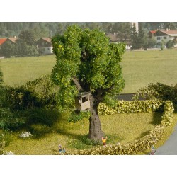 Olivenbaum mit Baumhaus.