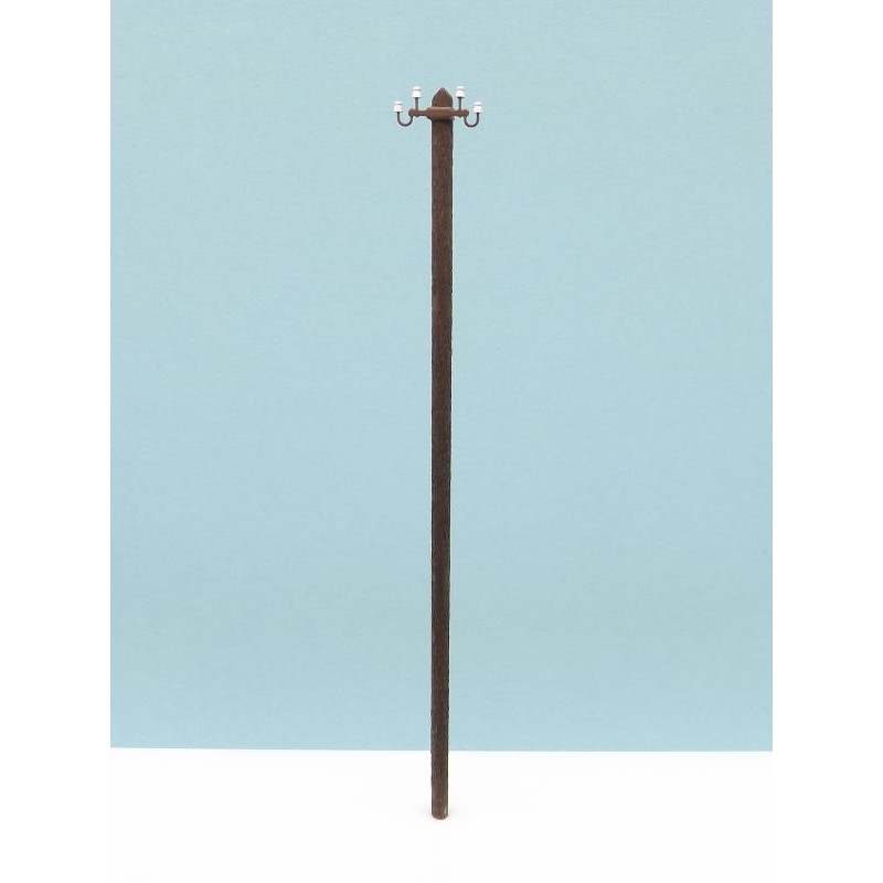 Electric wood pole. RB 2806