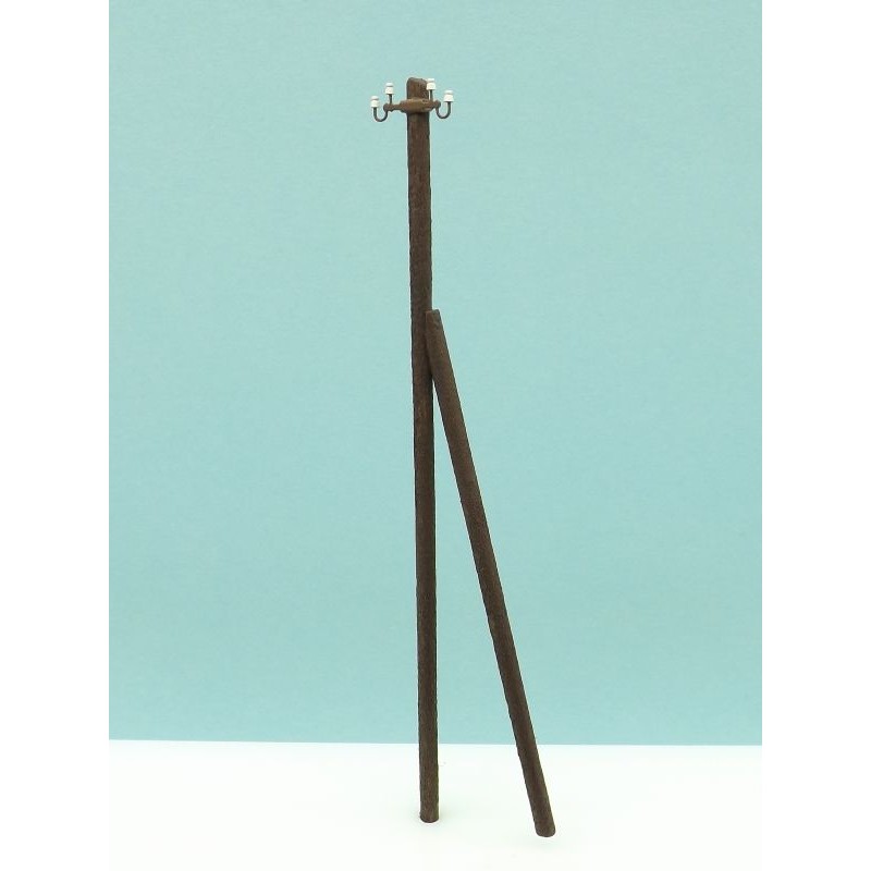 Electric wood pole, with support.