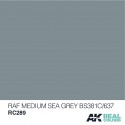 RAF Gris Medio Marino (BS381C/637), 10ml. Real Colors.