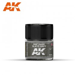 RAF Dark Slate Grey, 10ml. Cores reais.