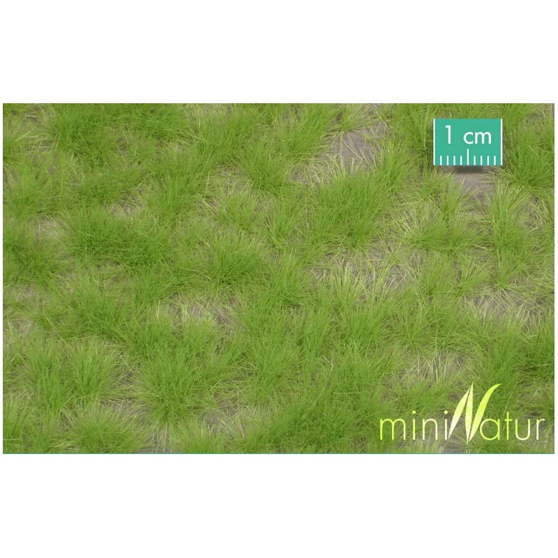 Mechones de césped, primavera. SILHOUETTE 727-31S