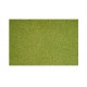 Grass mat spring. NOCH 00260