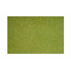 Grass mat spring.