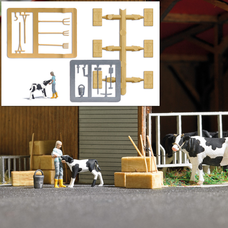 Escena rural: alimentando a un becerro.