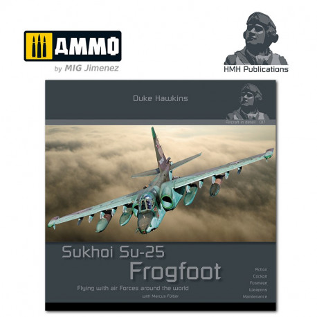 Sukhoi Su-25 Frogfoot.