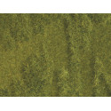 Alfombra de césped 450x300 mm.