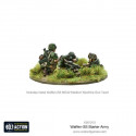Ejército de las Waffen-SS. Bolt Action starter army. Ejército de las Waffen-SS. Bolt Action starter army.
