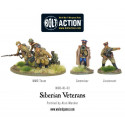 Veteranos siberianos. Bolt Action.