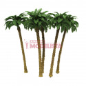 Palm trees. Palm trees.