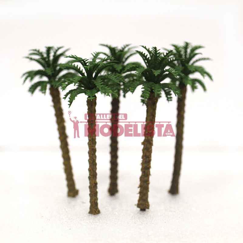 5 Palmeras, 70 mm.