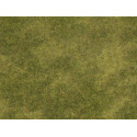 Prado natural. Natur+.